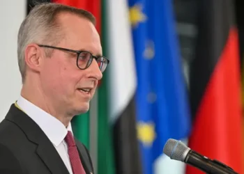 Spiegel: Recall of German ambassador marks peak of escalation between Georgia’s pro-Russian PM and Peter Fischer