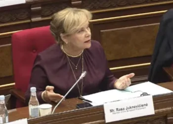 MEP Juknevičienė: No Georgian delegation at Euronest for the first time