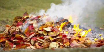 Burning leaves still a harmful autumn habit, environmental department warns