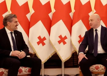 Giorgi Modebadze appointed as Justice of Georgia’s Constitutional Court