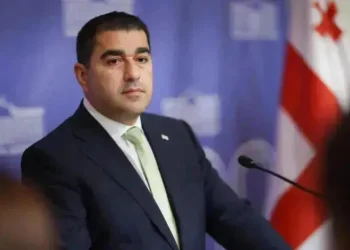 Papuashvili on Peter Fischer: The 30-year partnership has reached a low point — we hope this recall signals a reset