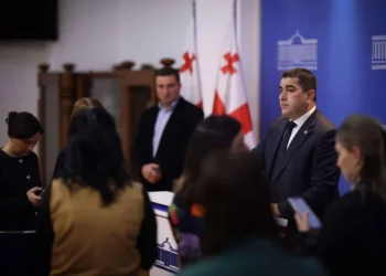Papuashvili: Georgian Dream won’t currently seek constitutional court ban on individual political activity