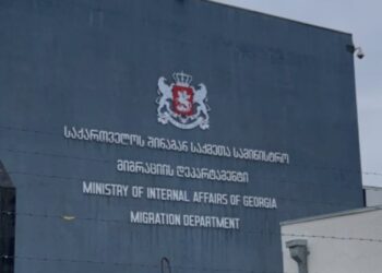 Five foreign nationals detained in Georgia for violating immigration laws