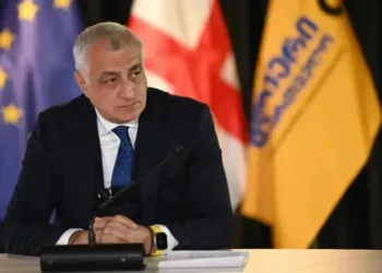 Khazaradze: You are right to fear ‘Strong Georgia’ — We will make you pay anyway!