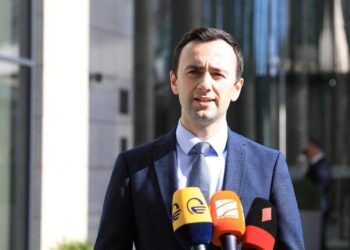EU Integration Committee Chair: No grounds or expectation for suspension of Georgia’s visa-free regime