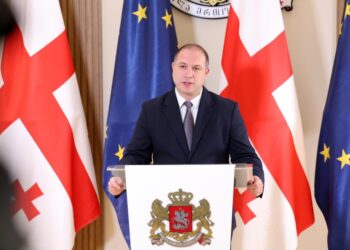 Georgia to introduce first-ever state language examination in 2025