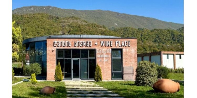 American publication The Wine Palate highlights west Georgian wines
