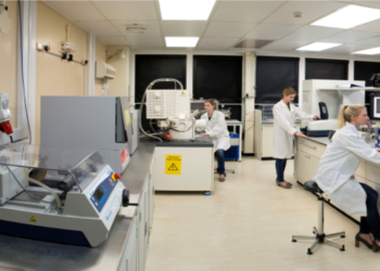 CIT Georgia flags risks in government plan for state construction lab