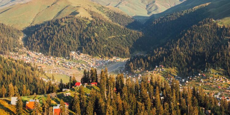 Two arrested for illegal land seizure in Bakhmaro