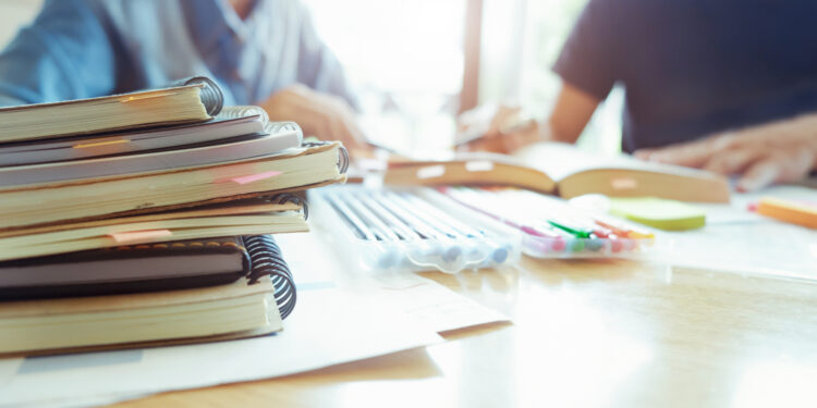 Education Minister: Tutoring in Georgia not subject to legal restrictions