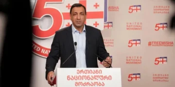 National Movement launches constitutional proceedings against Georgian Dream