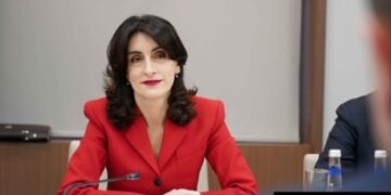 Georgia and Armenia highlight strategic partnership, regional stability after FM meeting