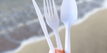 Georgia to ban single-use plastic cutlery and food containers from January 2026