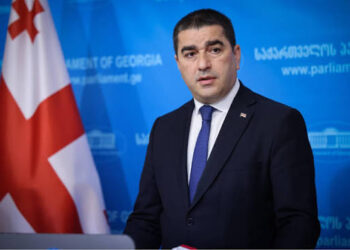Papuashvili: Georgians living abroad will be able to vote in parliamentary elections only on Georgian territory