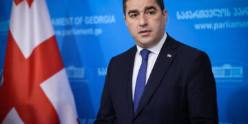 Papuashvili: Georgians living abroad will be able to vote in parliamentary elections only on Georgian territory