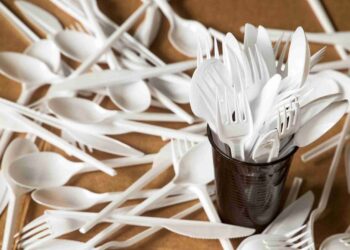 Georgia to ban single-use plastic food contact products from 2026