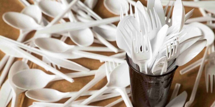 Georgia to ban single-use plastic food contact products from 2026