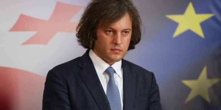 Kobakhidze: Certain EU forces undermine democratic values