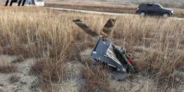 Search operations continue at the site of Turkish military plane crash in Sighnaghi Municipality