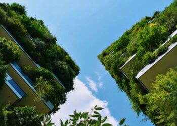 90 eco-migrant families receive new housing in Khelvachauri