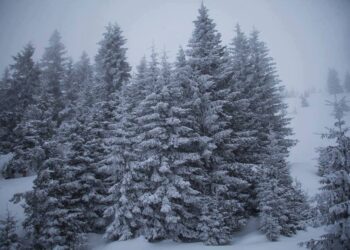 Rain and snow forecast for December 16–17 across Georgia