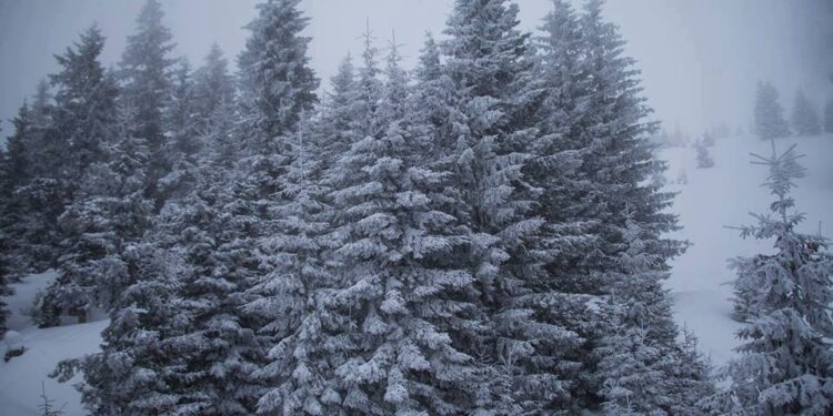 Rain and snow forecast for December 16–17 across Georgia