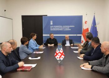 Georgia to purchase homes for nearly 800 displaced families under state housing