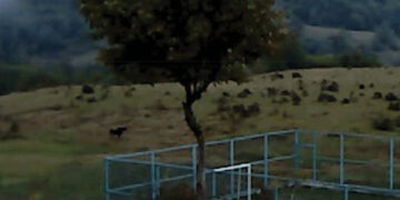 A still from the film