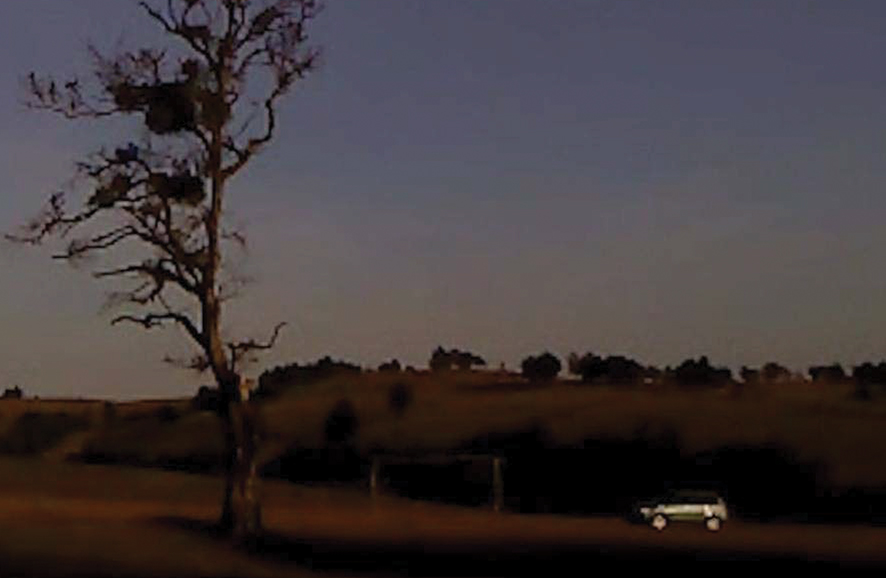 A still from the film