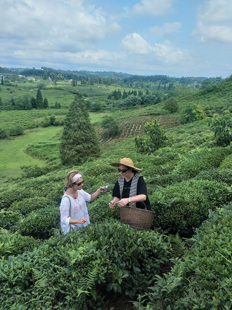 The author visiting a tea plantation in Guria