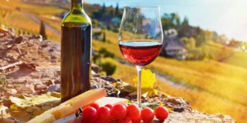 Georgian wine expands US presence through retail tastings