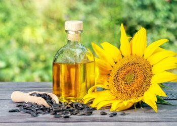 Georgia braces for higher sunflower oil import costs as Russia raises export duties