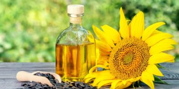 Georgia braces for higher sunflower oil import costs as Russia raises export duties