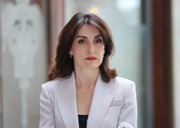 FM: EC overlooks areas where Georgia excels, remains silent on serious concerns elsewhere