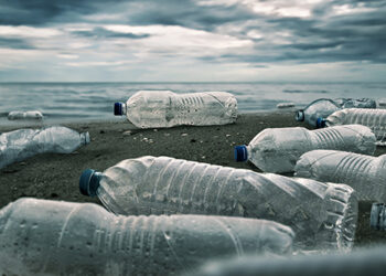 Georgia moves to curb plastic bottle use with phased regulation