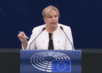 MEP Rasa Juknevičienė: Georgian authorities fear truth, the BBC findings likely true