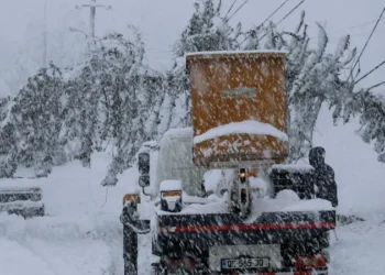 Severe weather disrupts power supply across western Georgia