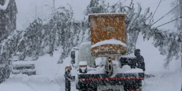 Severe weather disrupts power supply across western Georgia