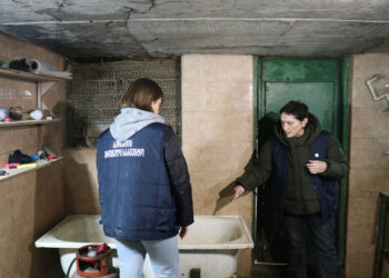 Illegal slaughterhouse discovered in Kutaisi