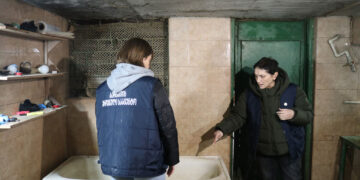 Illegal slaughterhouse discovered in Kutaisi