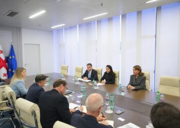 Georgia and UN review economic cooperation priorities