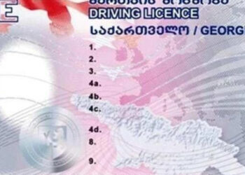 Service Agency app update lets drivers check license status and penalty points