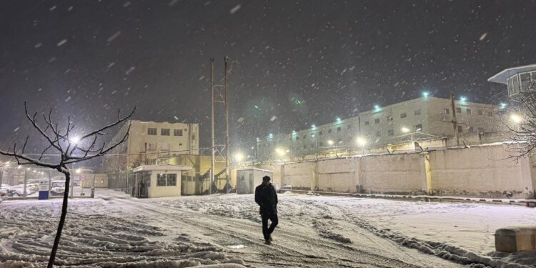 Mzia Amaglobeli’s brother visits women’s penitentiary amid uncertainty over Epiphany pardon