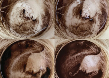 Coffee + Chaos. Photos by Scott Noble & Tony Hanmer