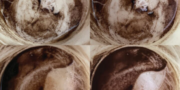 Coffee + Chaos. Photos by Scott Noble & Tony Hanmer