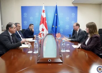 US diplomat briefs Georgian Deputy FM on temporary suspension of certain visa categories