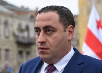Giorgi Vashadze granted GEL 30,000 bail in so-called “sabotage case”