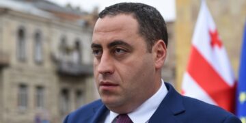 Giorgi Vashadze granted GEL 30,000 bail in so-called “sabotage case”
