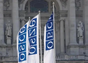 24 OSCE member states activate “Moscow Mechanism” on Georgia, launch expert mission