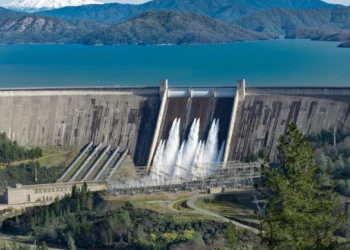 Georgia’s electricity demand grows in 2025 as power generation declines